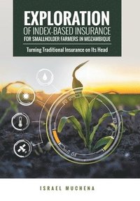 bokomslag Exploration of Index-Based Insurance for Smallholder Farmers in Mozambique