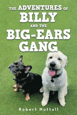 The adventures of Billy and the Big-ears gang 1