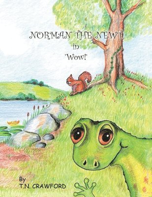 bokomslag NORMAN THE NEWT in 'Wow!'