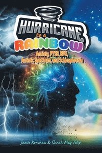 bokomslag Hurricane to a Rainbow: Anxiety, PTSD, BPD, Autistic Spectrum, and Schizophrenia