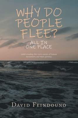 Why Do People Flee?: Understanding the roots causes of human movements and their journeys 1