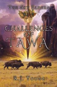 bokomslag Challenges of Tawa