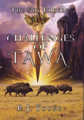 bokomslag Challenges of Tawa