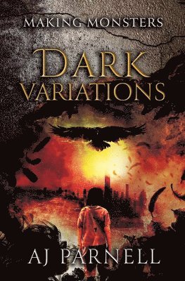 bokomslag Dark Variations