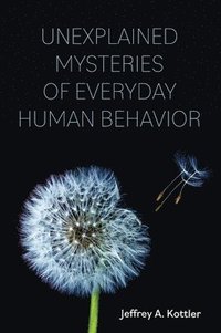 bokomslag Unexplained Mysteries of Everyday Human Behavior