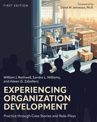 bokomslag Experiencing Organization Development