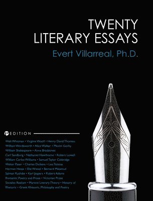 bokomslag Twenty Literary Essays