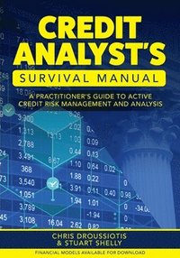 bokomslag Credit Analyst's Survival Manual