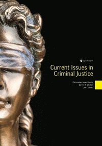 bokomslag Current Issues in Criminal Justice