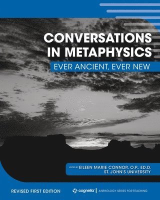 bokomslag Conversations in Metaphysics