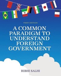 bokomslag Common Paradigm to Understand Foreign Government