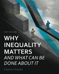 bokomslag Why Inequality Matters and What Can Be Done About It