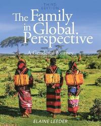 bokomslag The Family in Global Perspective