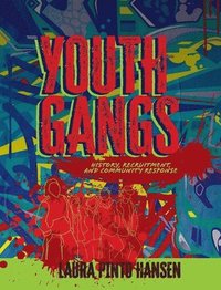 bokomslag Youth Gangs