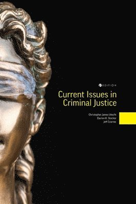 bokomslag Current Issues in Criminal Justice