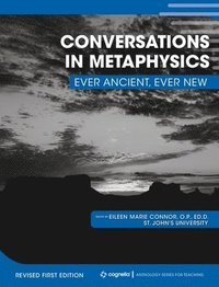 bokomslag Conversations in Metaphysics