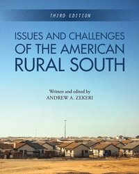 bokomslag Issues and Challenges of the American Rural South