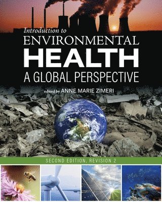 bokomslag Introduction to Environmental Health: A Global Perspective