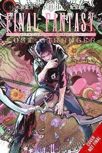 bokomslag Final Fantasy Lost Stranger, Vol. 11