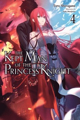 Kept Man of the Princess Knight, Vol. 4 1