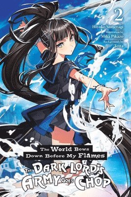 Hiyoko Sumeragi, James Balzer, Mika Pikazo, Mocha Mocha - World Bows Down Before My Flames, Vol. 2 (novel), Häftad