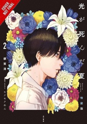 The Summer Hikaru Died, Vol. 2 (light novel)