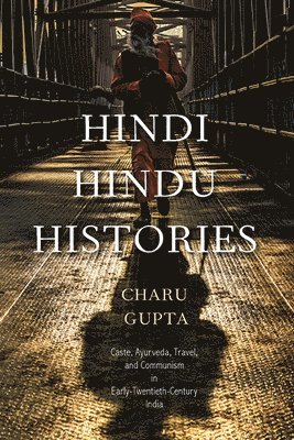 bokomslag Hindi Hindu Histories: Caste, Ayurveda, Travel, and Communism in Early-Twentieth-Century India