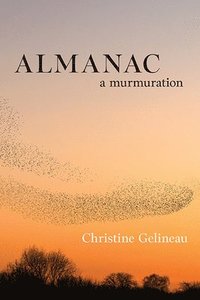 bokomslag Almanac: A Murmuration