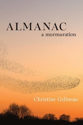 Almanac: A Murmuration 1