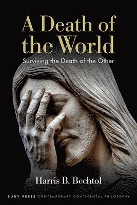 bokomslag A Death of the World: Surviving the Death of the Other