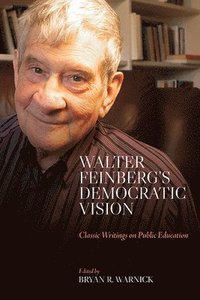 bokomslag Walter Feinbergs Democratic Vision