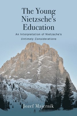 bokomslag Young Nietzsche's Education