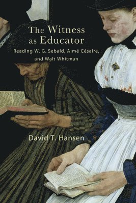 David T. Hansen - Witness as Educator, Häftad