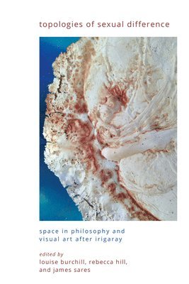 Topologies of Sexual Difference: Space in Philosophy and Visual Art After Irigaray 1