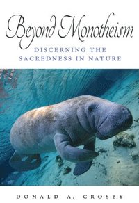 bokomslag Beyond Monotheism