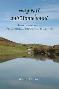 bokomslag Wayward and Homebound