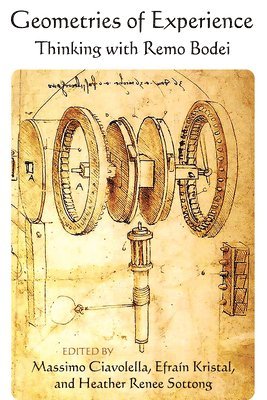bokomslag Geometries of Experience