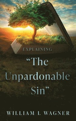 bokomslag Explaining "The Unpardonable Sin"