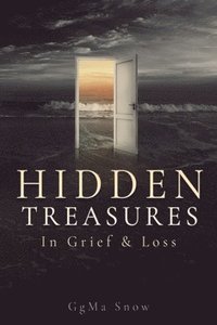 bokomslag Hidden Treasures
