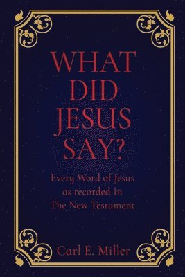 bokomslag What Did Jesus Say?