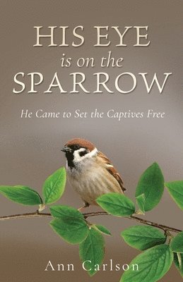 His Eye Is on the Sparrow 1