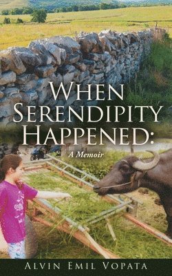 Alvin Emil Vopata - When Serendipity Happened, Häftad