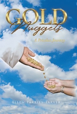 Gold Nuggets: A Priceless Journey 1