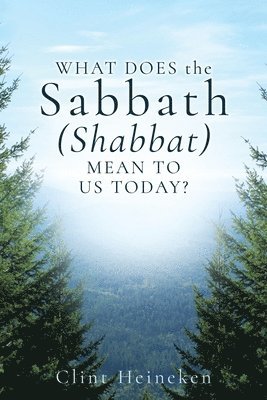 bokomslag What Does the Sabbath (Shabbat) Mean to Us Today?