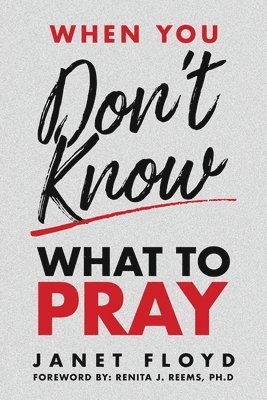 bokomslag When You Don't Know What To Pray