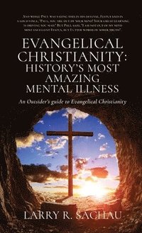 bokomslag Evangelical Christianity