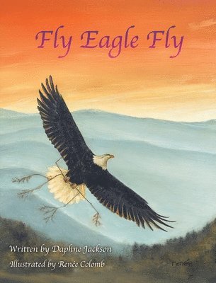 bokomslag Fly Eagle Fly