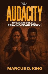 bokomslag Audacity