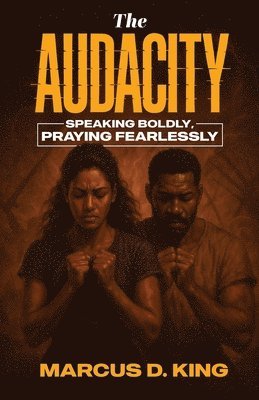 bokomslag Audacity