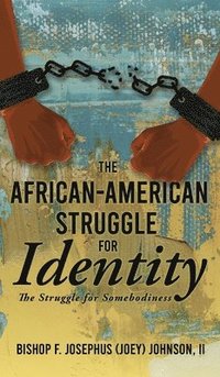 bokomslag African American Struggle for Identity